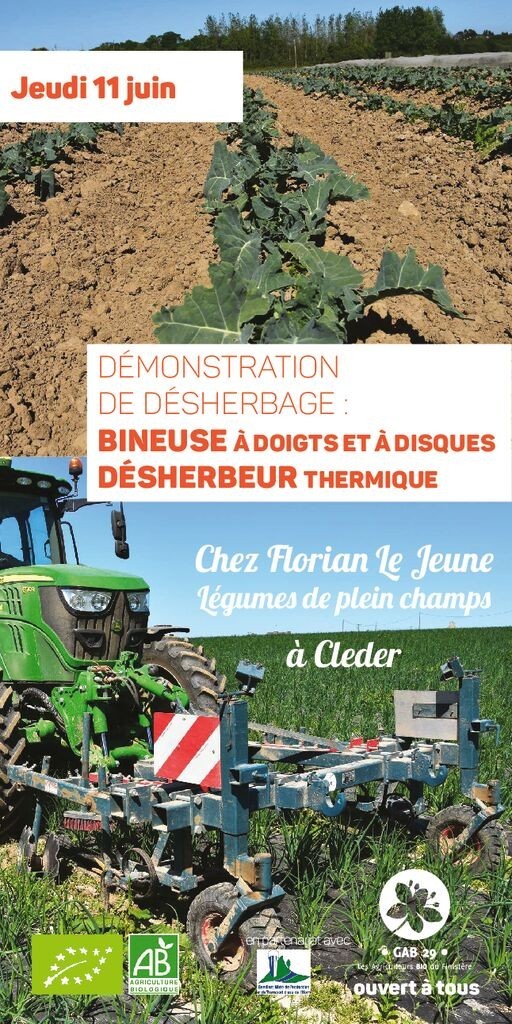 thumbnail of plaquetteDEMO_cleder