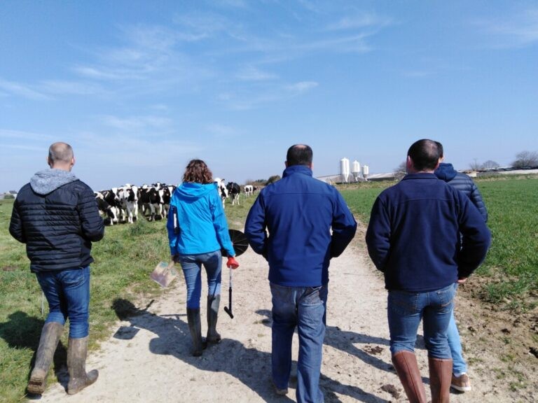 23-03-21 Groupe herbe