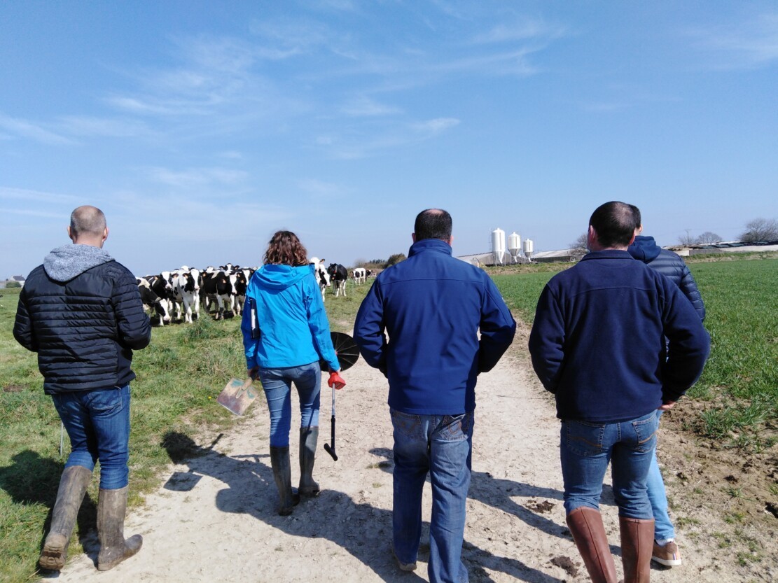 23-03-21 Groupe herbe