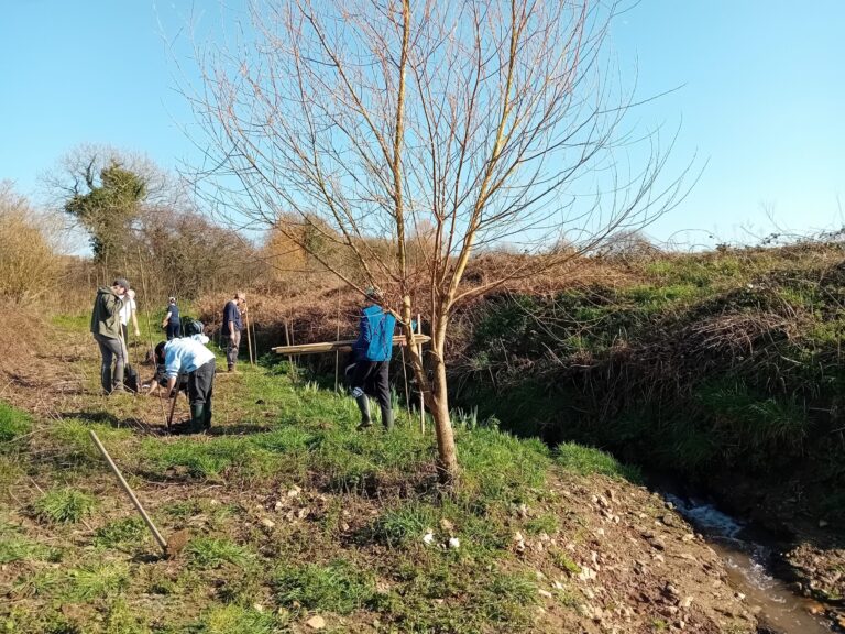 Les élèves plantent une ripisylve au bord du ruisseau